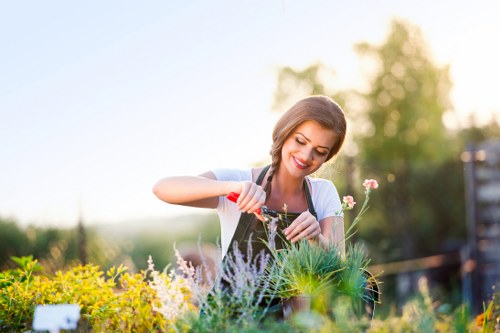 Gardening and landscaping pricing in a Tufnell Park front garden