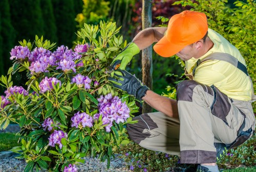 Landscaping liability and customer responsibility terms