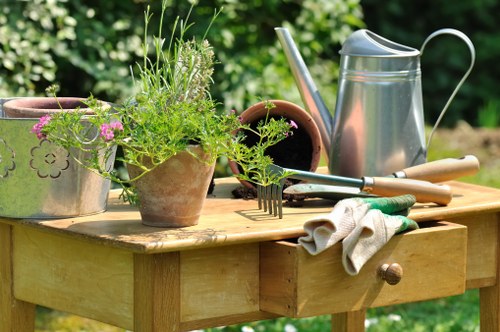 Fresh planting borders and lawn preparation in North London