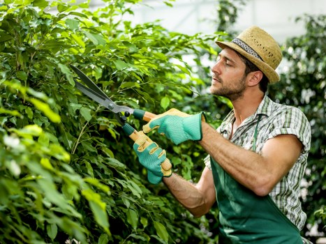 Trusted online payment methods for Landscaping Tufnellpark services