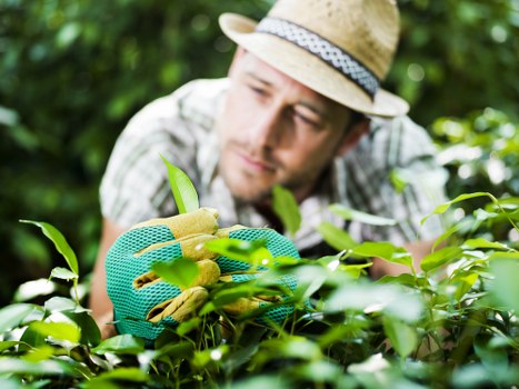 Keyboard navigation and screen-reader friendly Tufnellpark landscaping content