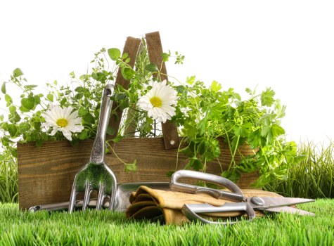Hard landscaping and planting features in a local Tufnellpark outdoor space