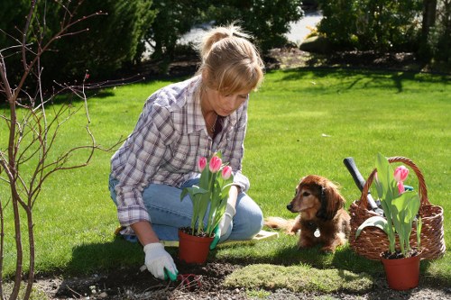 A local garden redesign showing improved layout for a compact outdoor space